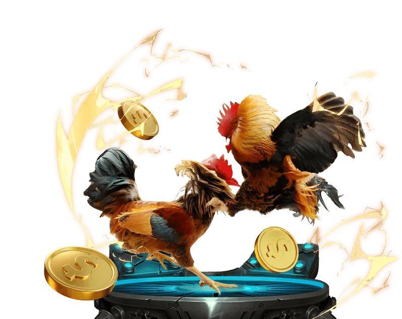 Đấu gà trực tiếp trên 78win trang chủ